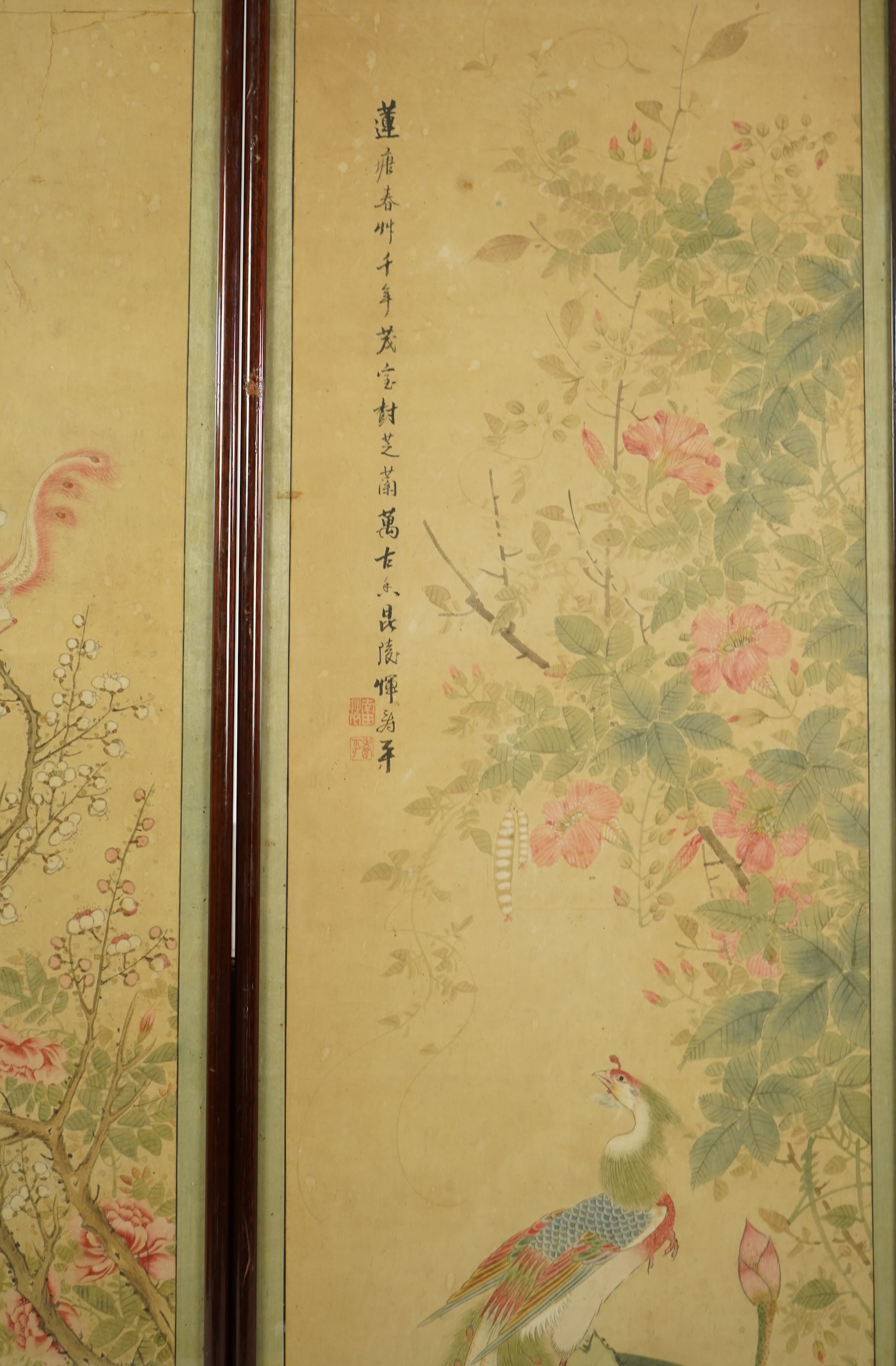 Chinese School , (18th/19th century), Phoenixes amid flowers, Ink and colour on paper; a pair
